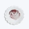 Rose Plate 1 Rose Plate -Home Comprehensive Shop 1357866