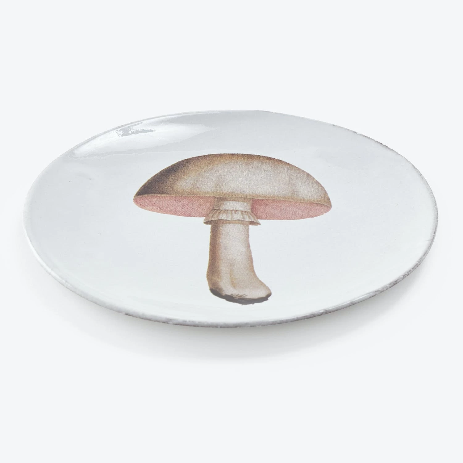 Champignon Plate 3 Champignon Plate