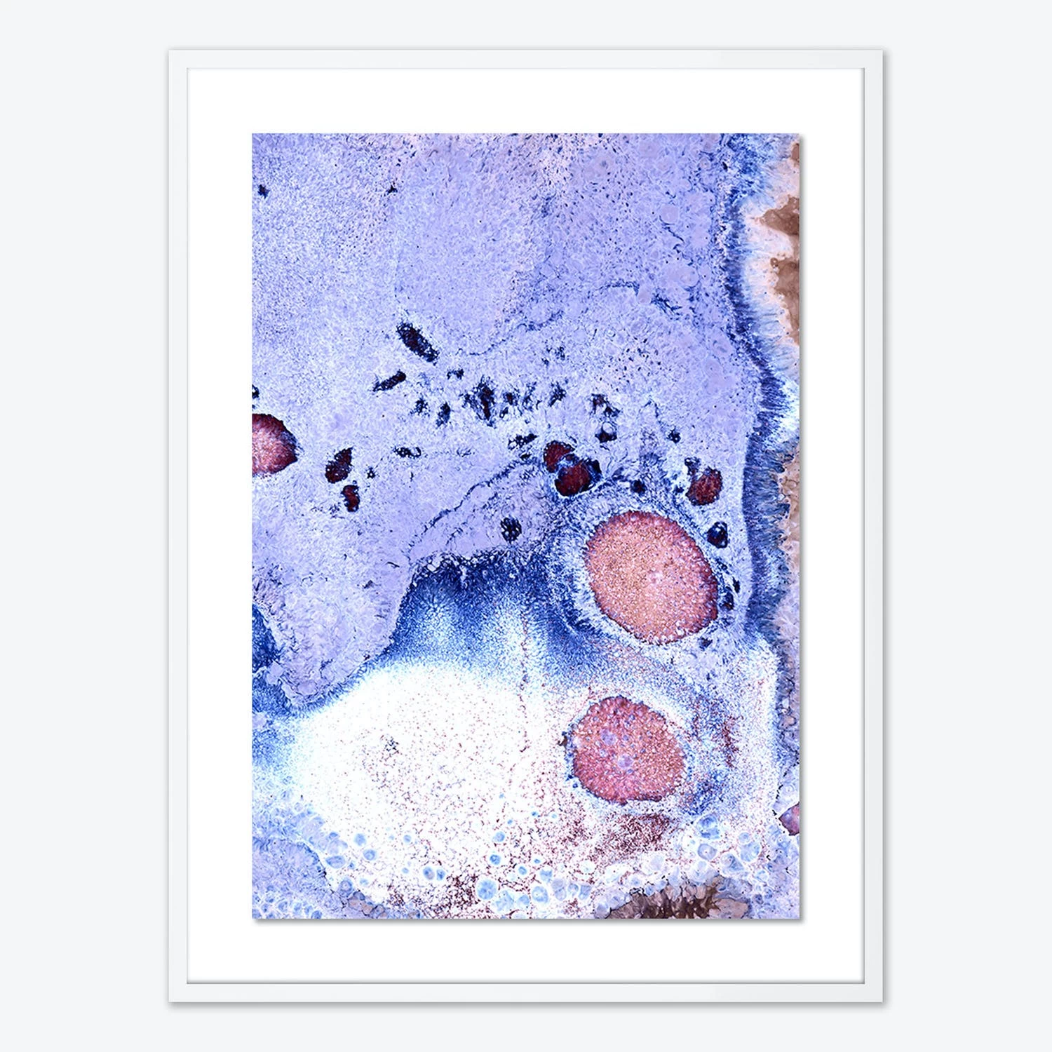 Andromeda 3 Andromeda