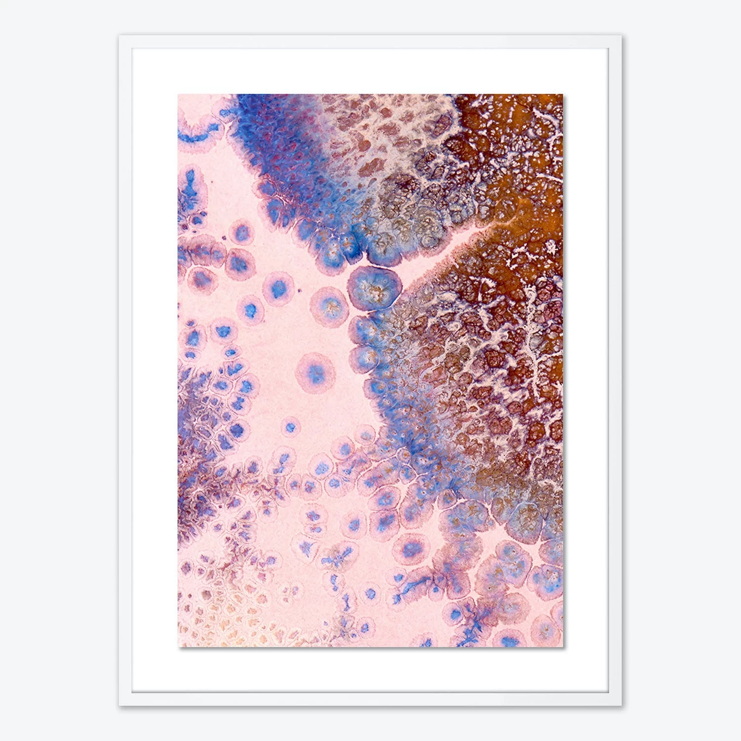 The Muse 7 The Muse - Image 5