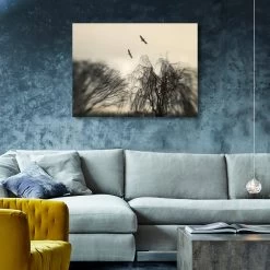 Ghosts Of Camargue -Home Comprehensive Shop 1607482 1607483 1607484 C