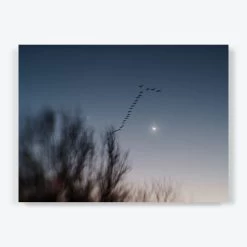 Until Tomorrow 11 Until Tomorrow -Home Comprehensive Shop 1607494 1607495 1607496 A c65bb6e6 3604 4e28 aa34 ce7cac2f3b45