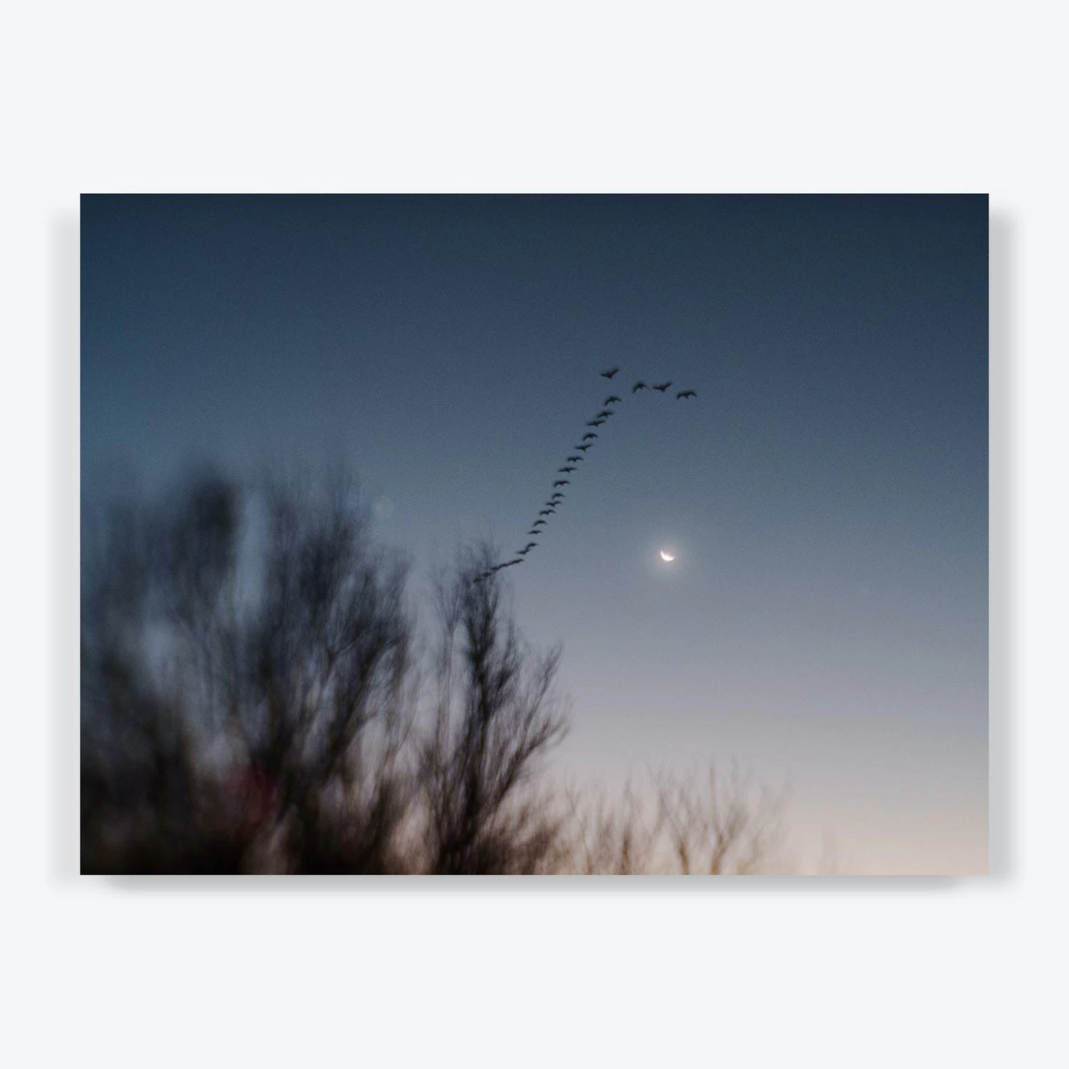 Until Tomorrow 7 Until Tomorrow - Image 5