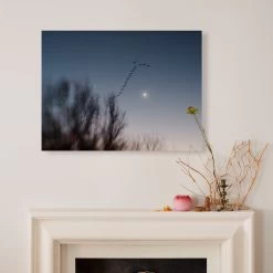 Until Tomorrow 9 Until Tomorrow -Home Comprehensive Shop 1607494 1607495 1607496 C