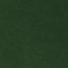Green Velvet Performance Upholstery Fabric -Home Comprehensive Shop 2006030