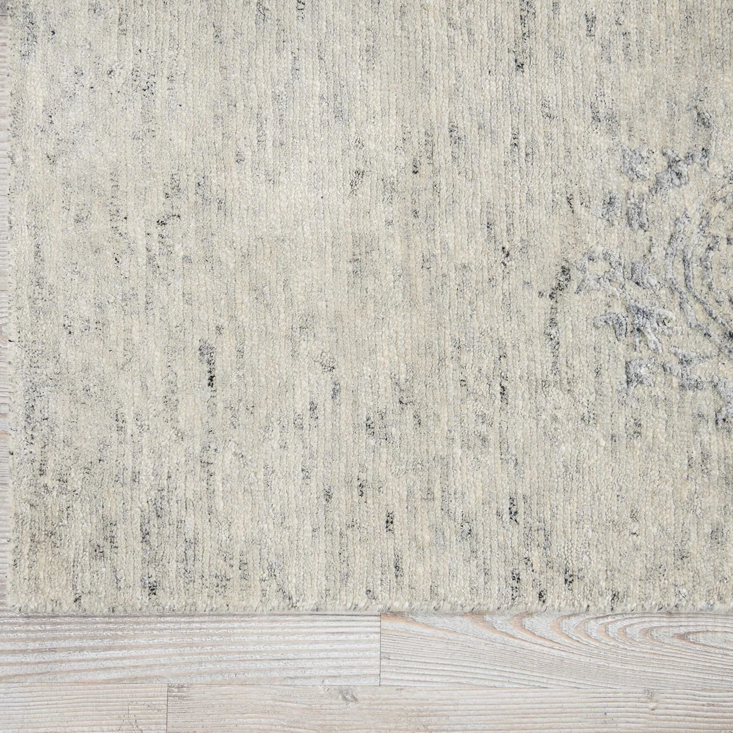 Transitional Rug - Ivory 4 Transitional Rug - Ivory - Image 2