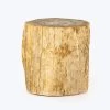 Petrified Wood Side Table