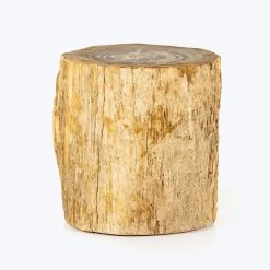 Petrified Wood Side Table