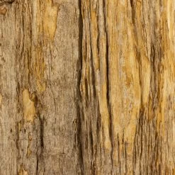 Petrified Wood Side Table 13 Petrified Wood Side Table -Home Comprehensive Shop 2011601 7