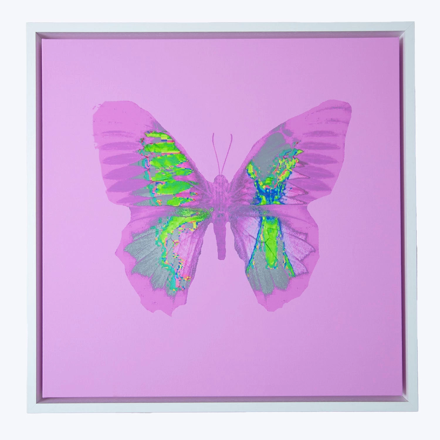 Aura Artwork - Fuschia 3 Aura Artwork - Fuschia