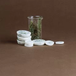 Moss Scented Soy Wax Rounds -Home Comprehensive Shop 3003694 3