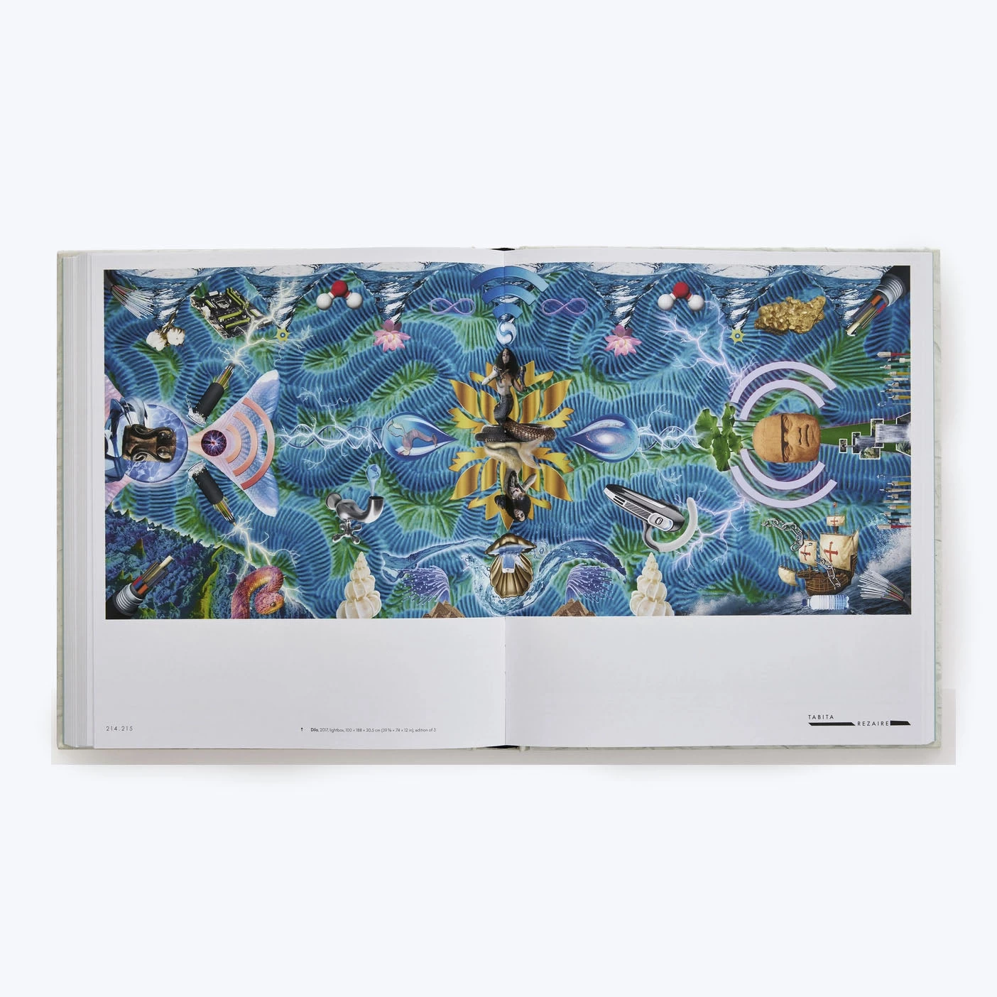 Vitamin C+: Collage In Contemporary Art 4 Vitamin C+: Collage In Contemporary Art - Image 2