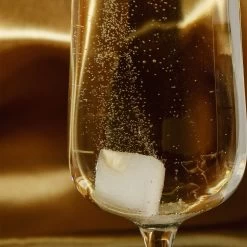 Instant Champagne Cocktail Kit -Home Comprehensive Shop 3030395 2