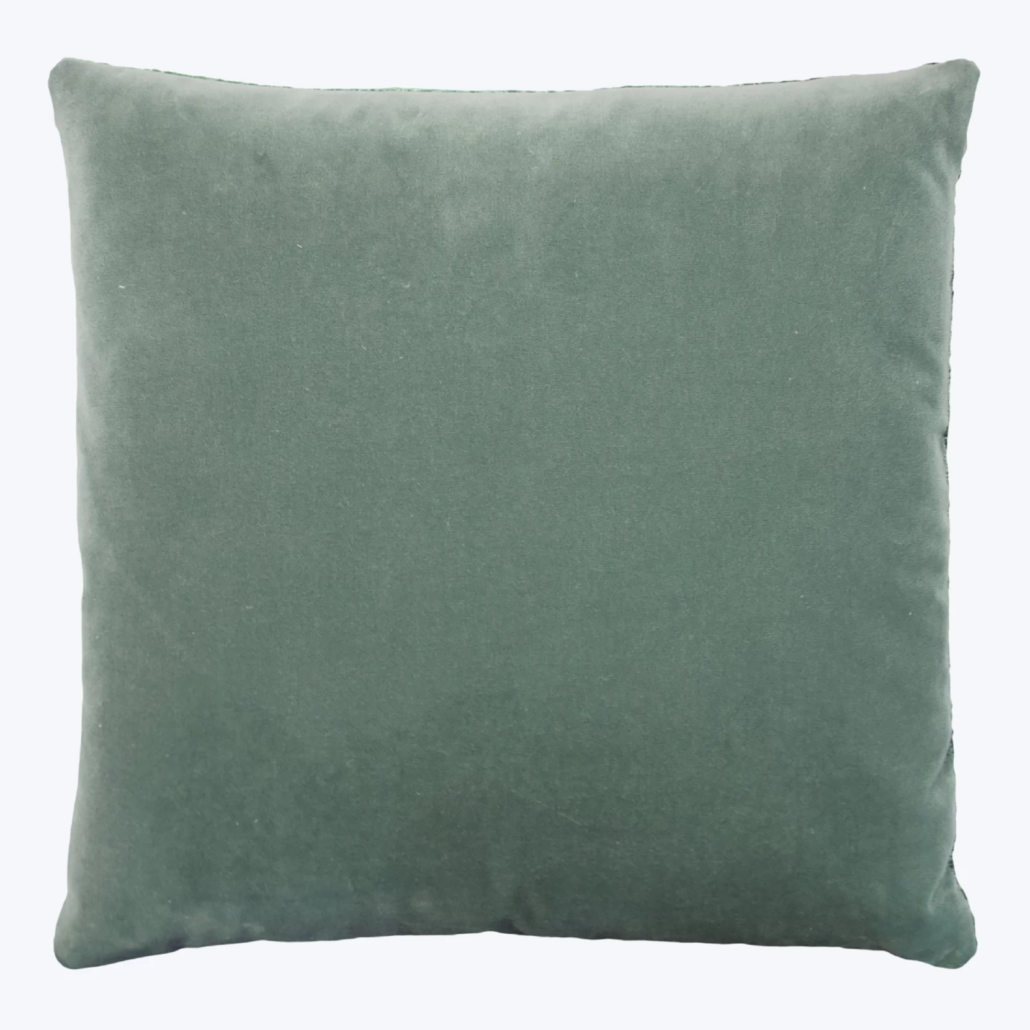 Coral Reef Velvet Pillow, Kelp 4 Coral Reef Velvet Pillow, Kelp - Image 2