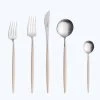 Goa 5-Piece Flatware Set 1 Goa 5-Piece Flatware Set -Home Comprehensive Shop 3032850
