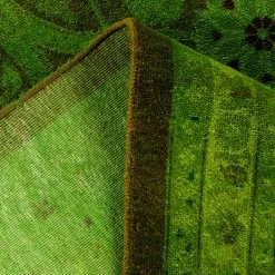 Color Reform One-of-a-Kind Rug - 10'1" X 13'10" 15 Color Reform One-of-a-Kind Rug - 10'1" X 13'10" -Home Comprehensive Shop 3033002 6