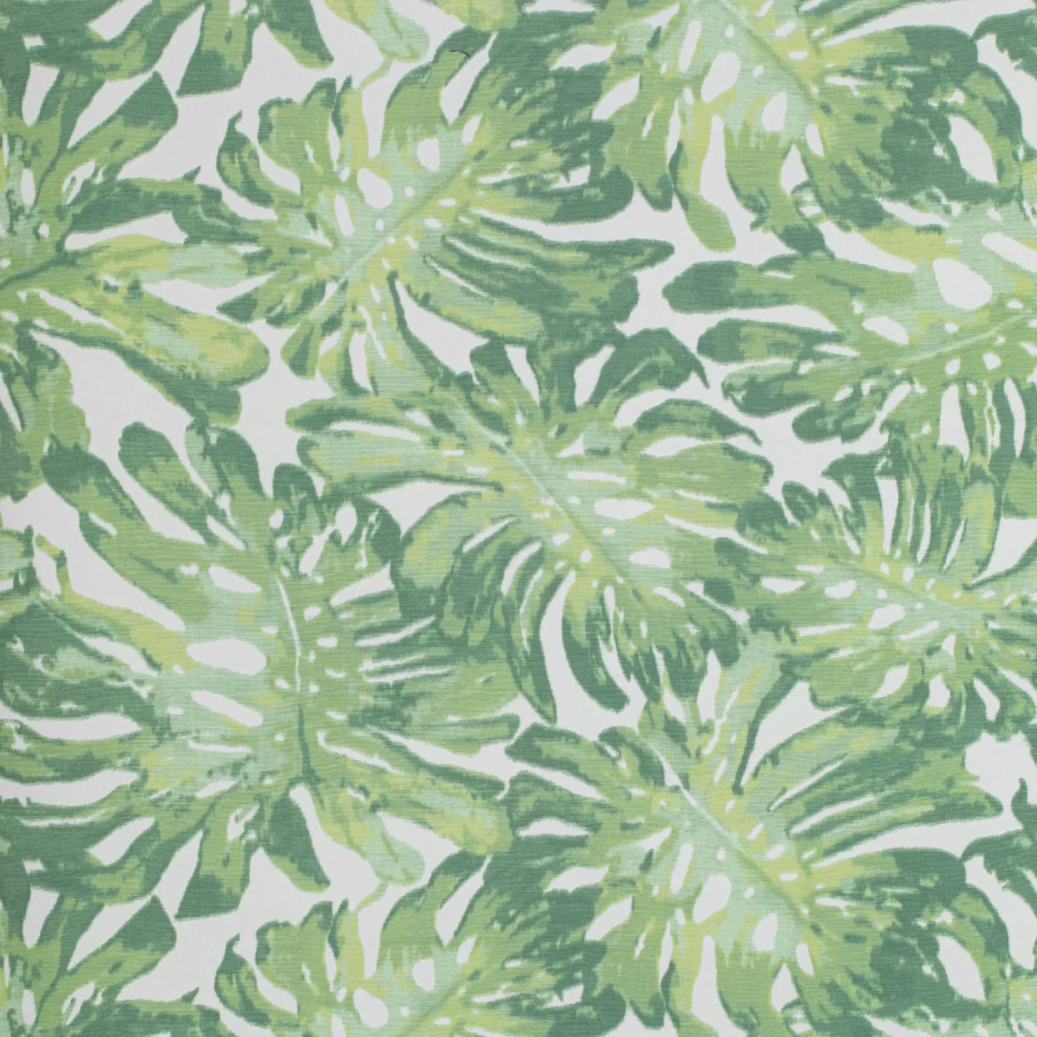 Tropical Monstera Wallpaper, 11 Yard Roll 5 Tropical Monstera Wallpaper, 11 Yard Roll - Image 3