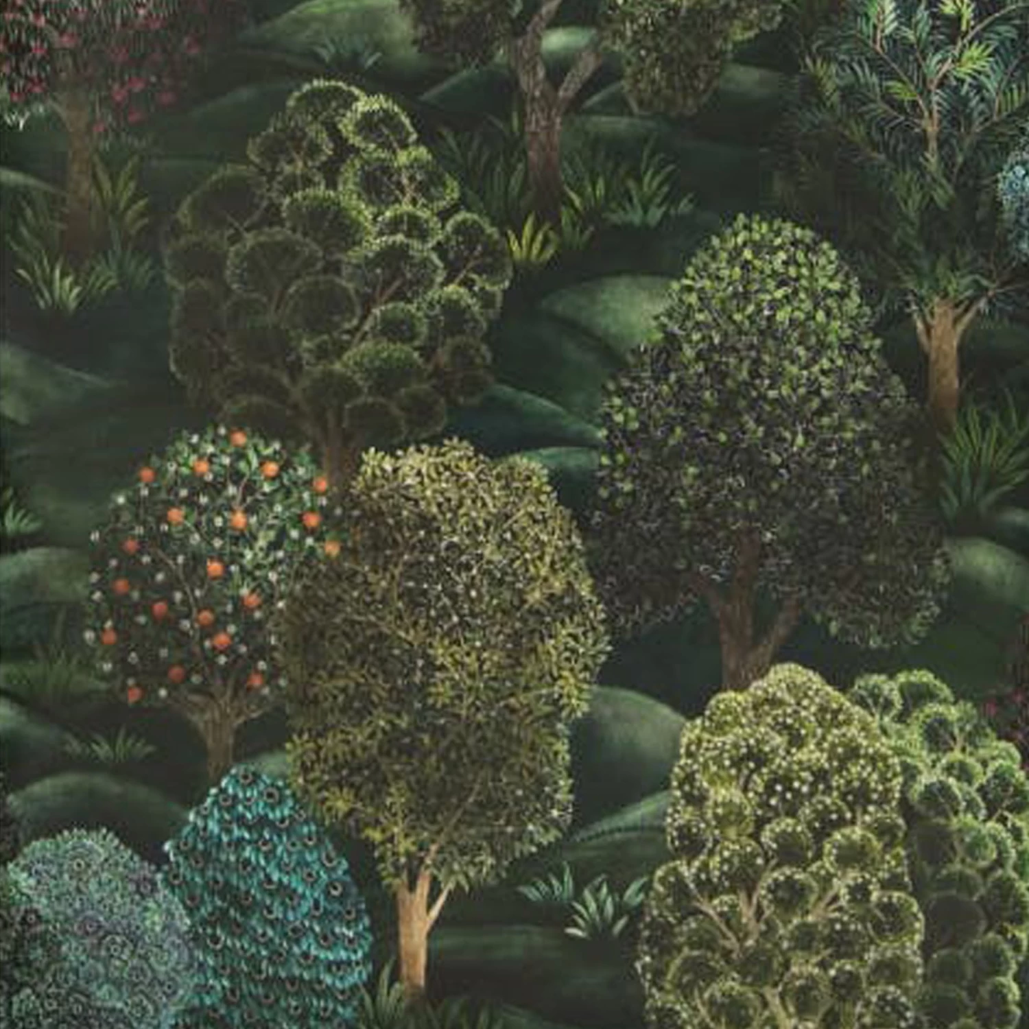 Tongass Wallpaper 3 Tongass Wallpaper