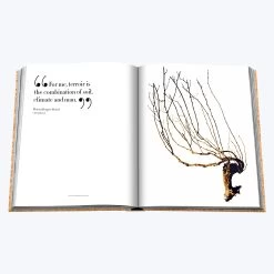 Assouline The Impossible Collection Of Champagne 27 Assouline The Impossible Collection Of Champagne -Home Comprehensive Shop 3040383 12