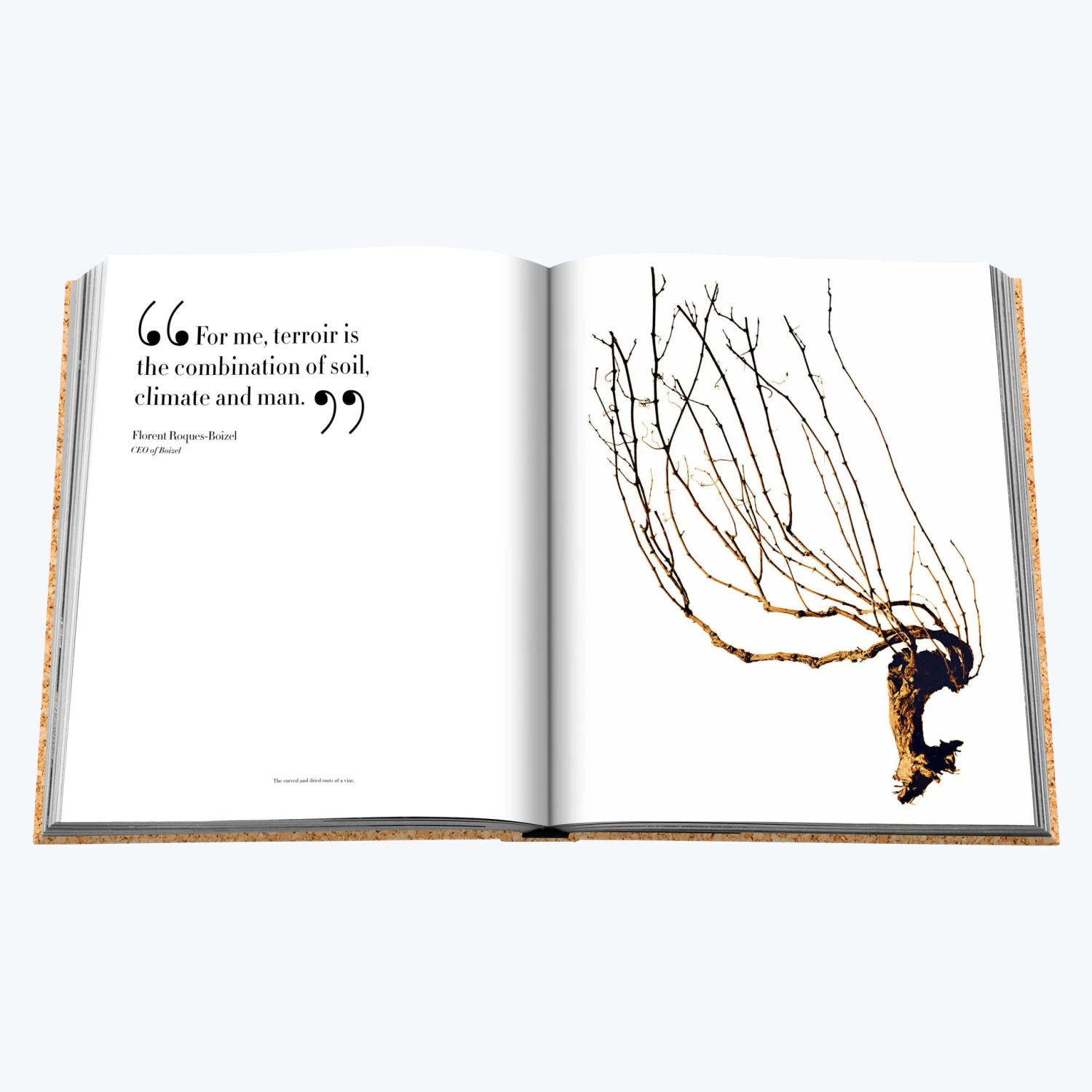 Assouline The Impossible Collection Of Champagne 13 Assouline The Impossible Collection Of Champagne - Image 11