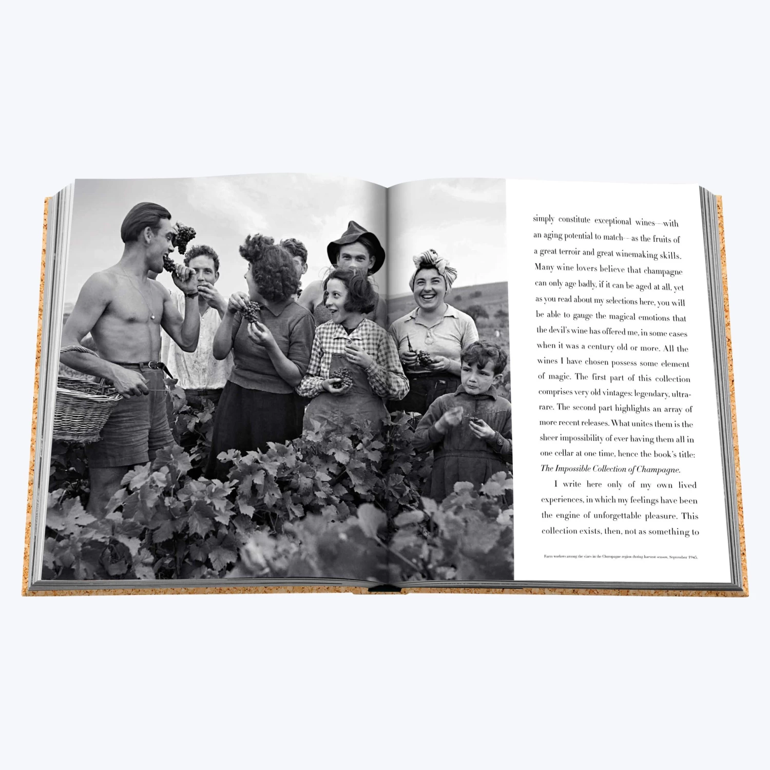Assouline The Impossible Collection Of Champagne 7 Assouline The Impossible Collection Of Champagne - Image 5