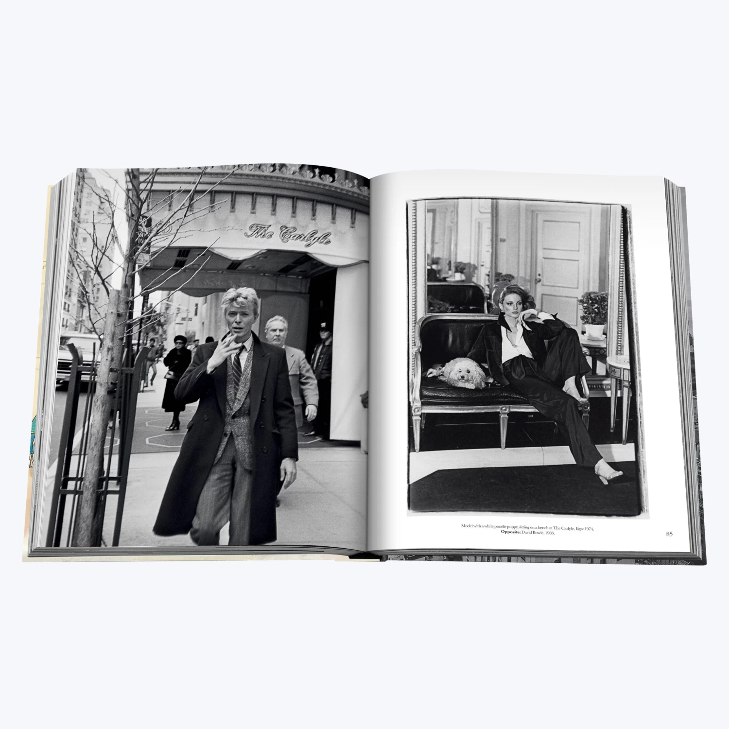 Assouline The Carlyle 14 Assouline The Carlyle - Image 12