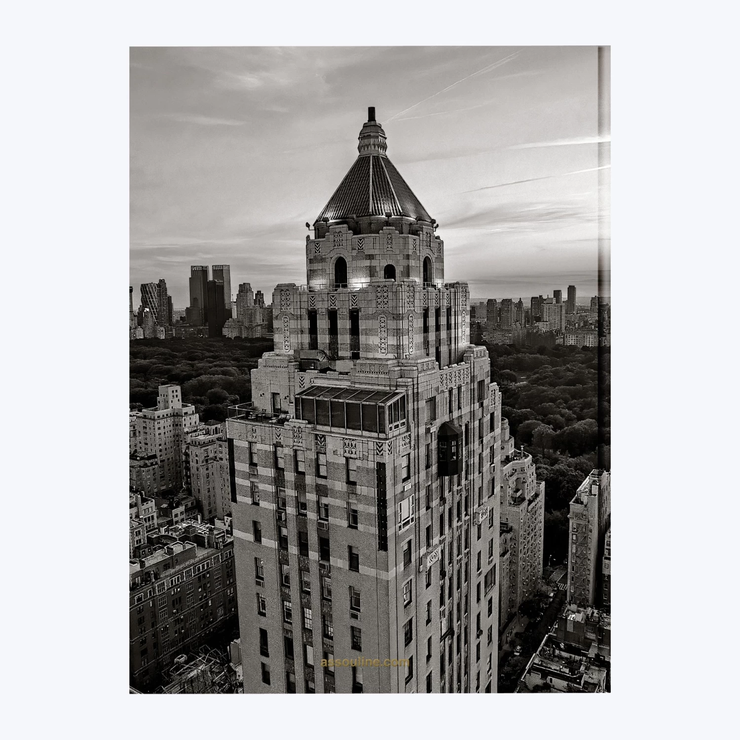 Assouline The Carlyle 5 Assouline The Carlyle - Image 3