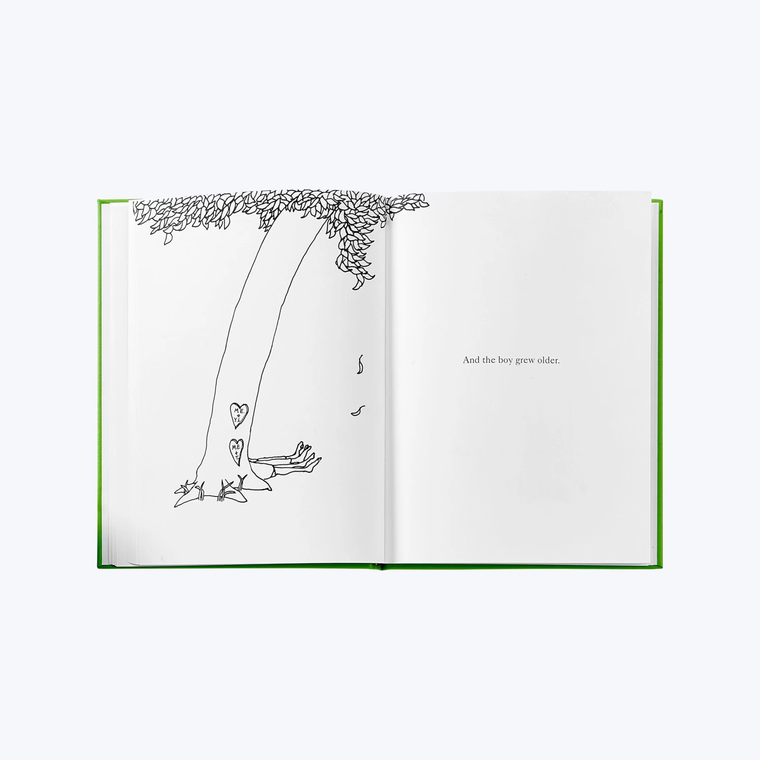 The Giving Tree 7 The Giving Tree - Image 5