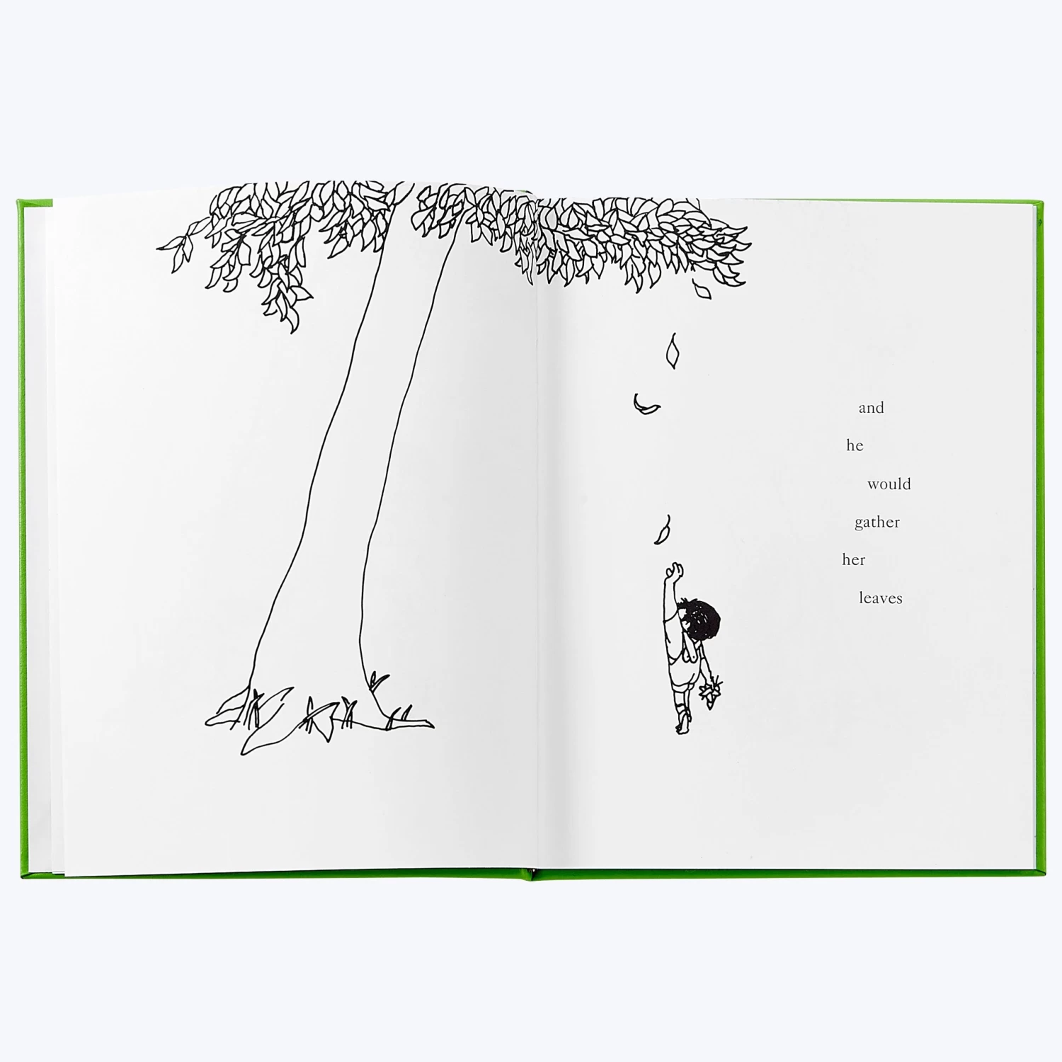 The Giving Tree 4 The Giving Tree - Image 2