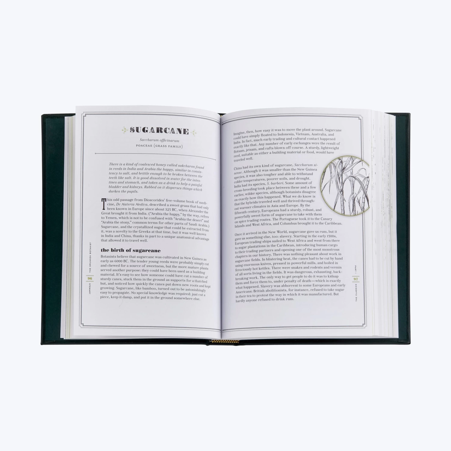 Drunken Botanist 6 Drunken Botanist - Image 4