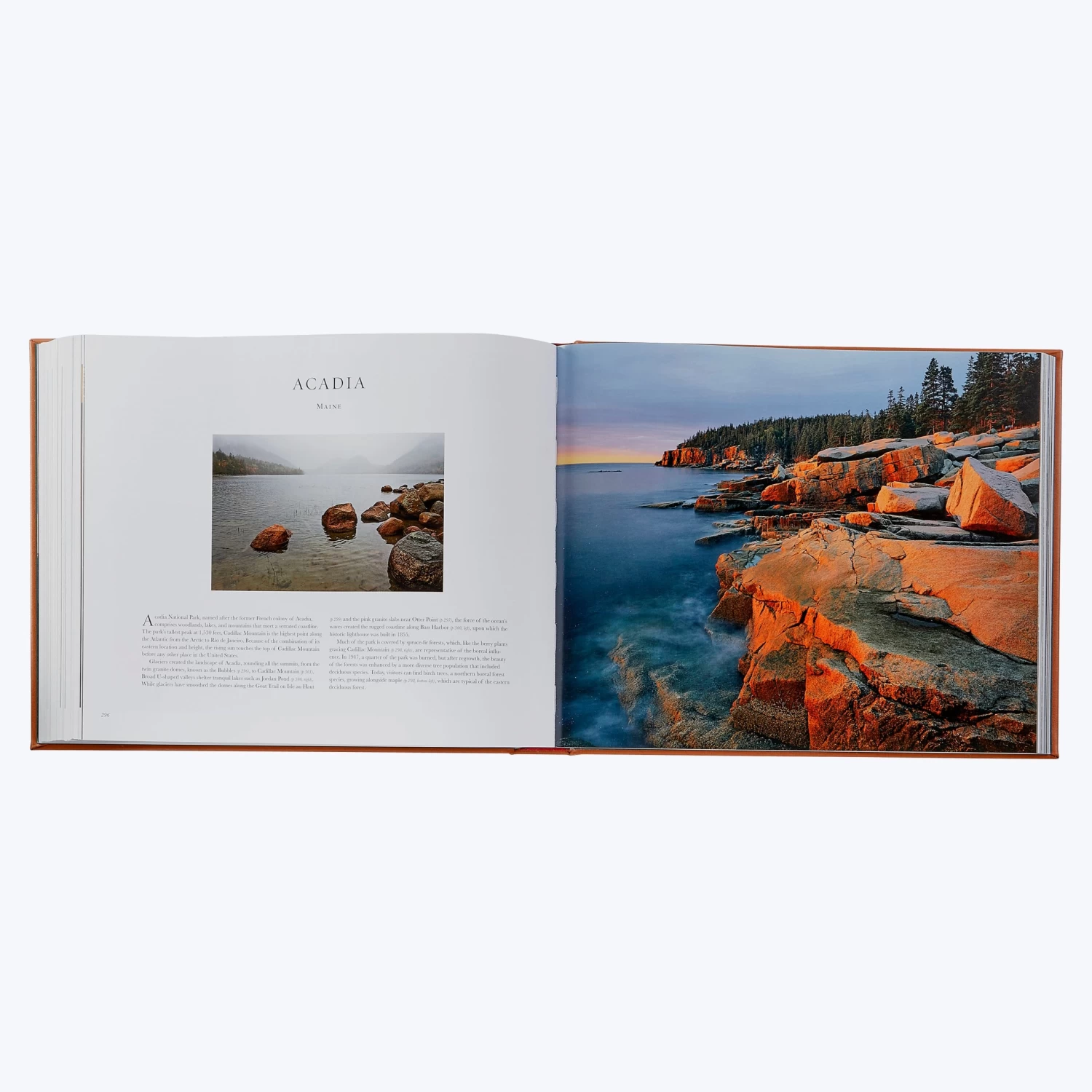 Treasured Lands 8 Treasured Lands - Image 6