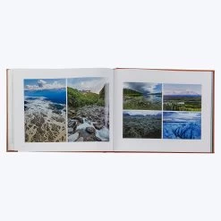 Treasured Lands 22 Treasured Lands -Home Comprehensive Shop 3040427 5