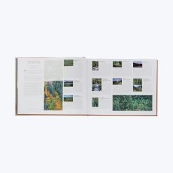 Treasured Lands 25 Treasured Lands -Home Comprehensive Shop 3040427 8