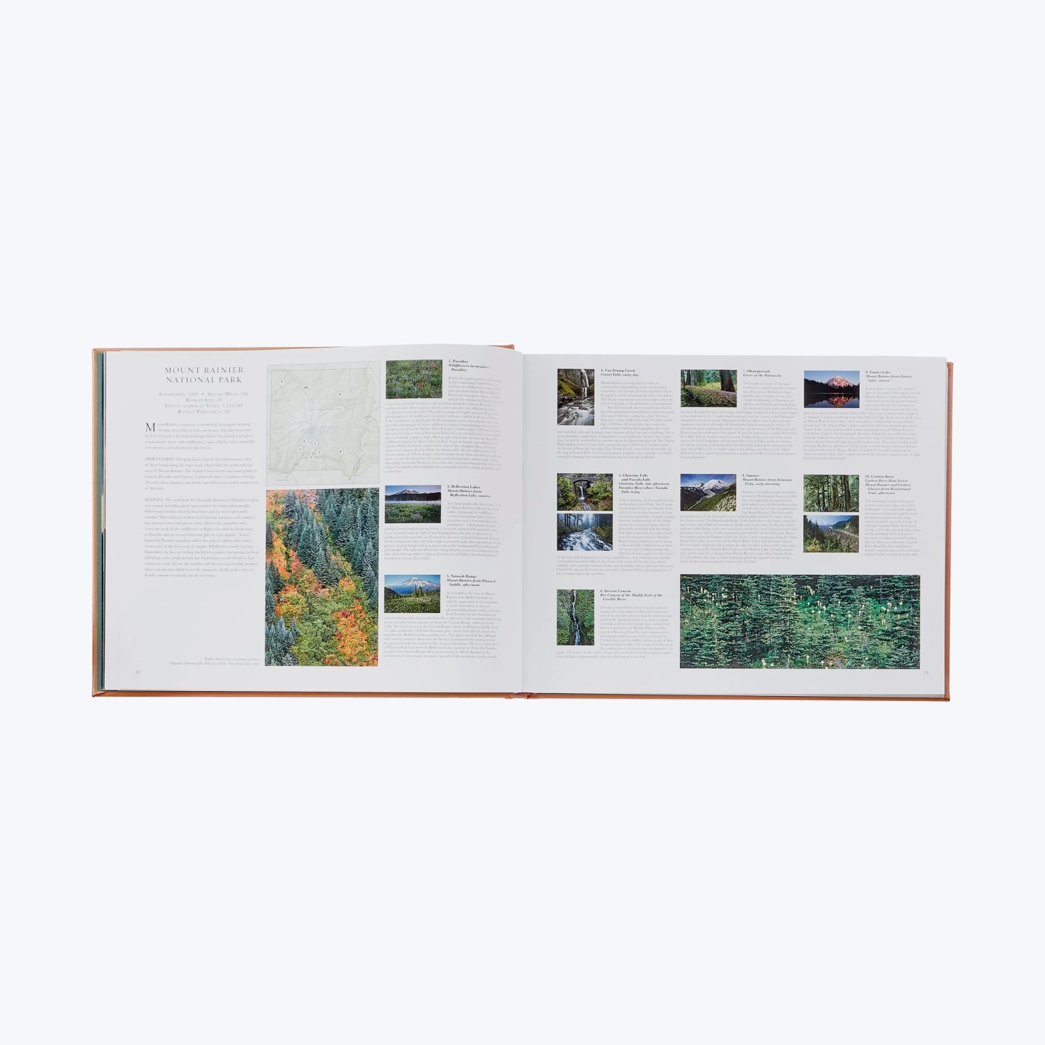 Treasured Lands 12 Treasured Lands - Image 10