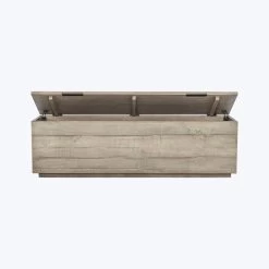 Dillon Trunk 12 Dillon Trunk -Home Comprehensive Shop 3046111 DET 1